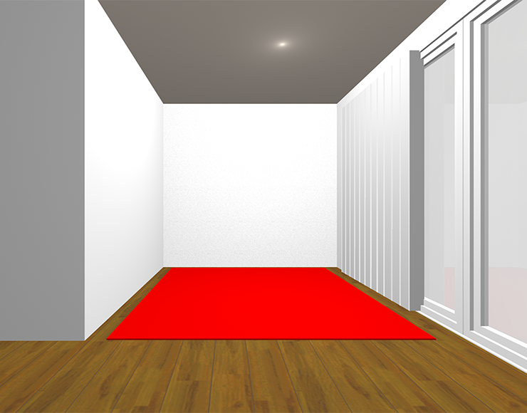 中間の茶色の床と赤のラグ